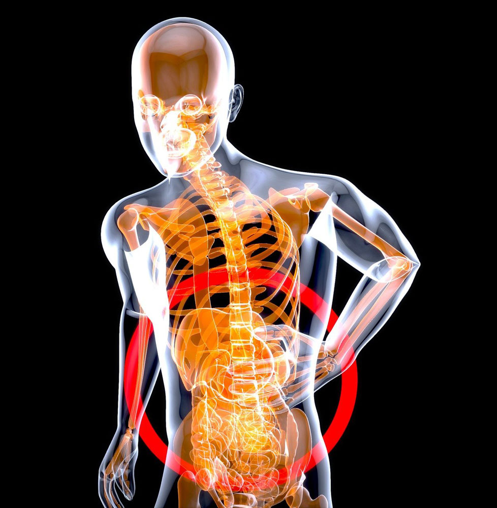 Illustration of a human skeleton against a black background. One hand is on the stomach and the skeleton is bent over, as if in pain.  There is a red circle around the gut area.