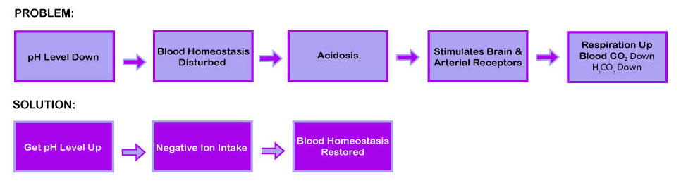 infographic of how blood acidity affects the body and how raising blood pH with negative ions balances blood homeostasis.