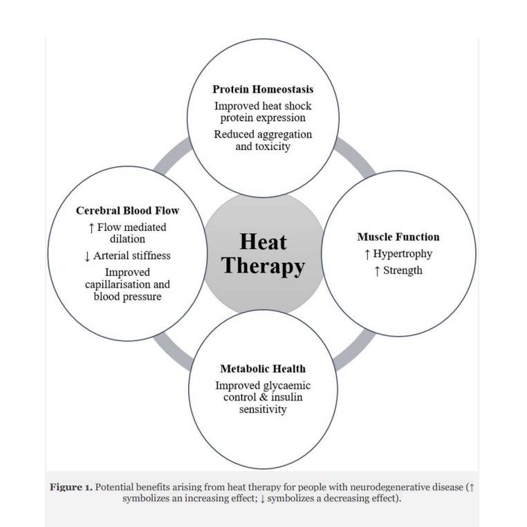 graph showing the benefits of heat therapy. The first benefit is 