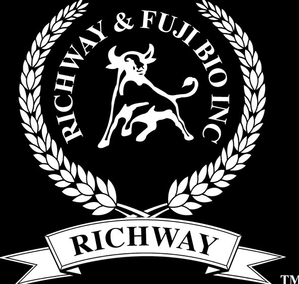 Richway International logo