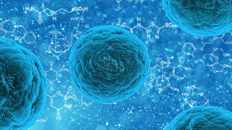 heat shock proteins