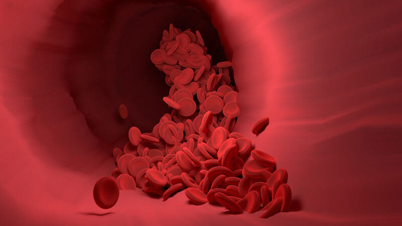 closeup of blood vessel with red blood cells in it