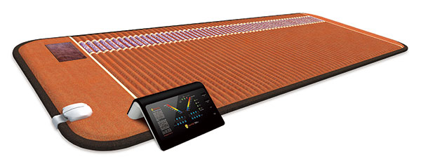 BioMat Professional full-body infrared therapy mat with controller
