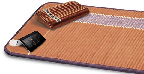 Richway Biomat Professional therapy mat