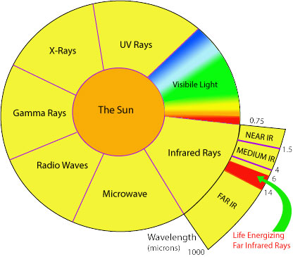 Infographic showing the electromagnetic spectrum. Infrared light is broken down into far, middle, and near infrared.